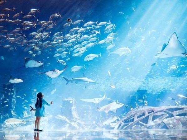 Atlantis Aquaventure + Lost Chambers Aquarium