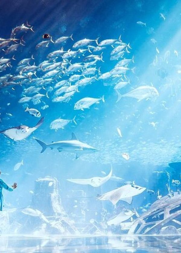 Atlantis Aquaventure + Lost Chambers Aquarium