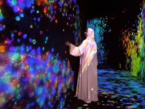 Teamlab Phenomena