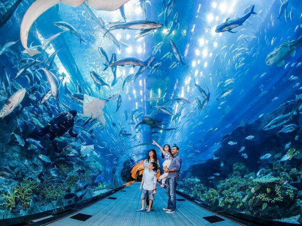 Dubai Aquarium and Underwater Zoo
