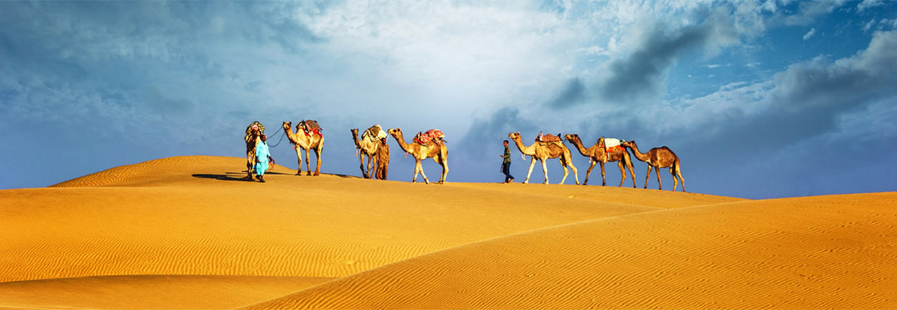 Dubai desert camel safari. Arab culture, tradition and tourism landscape. Arabian people traveling on sand dunes journey background
